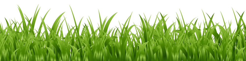 grass bg