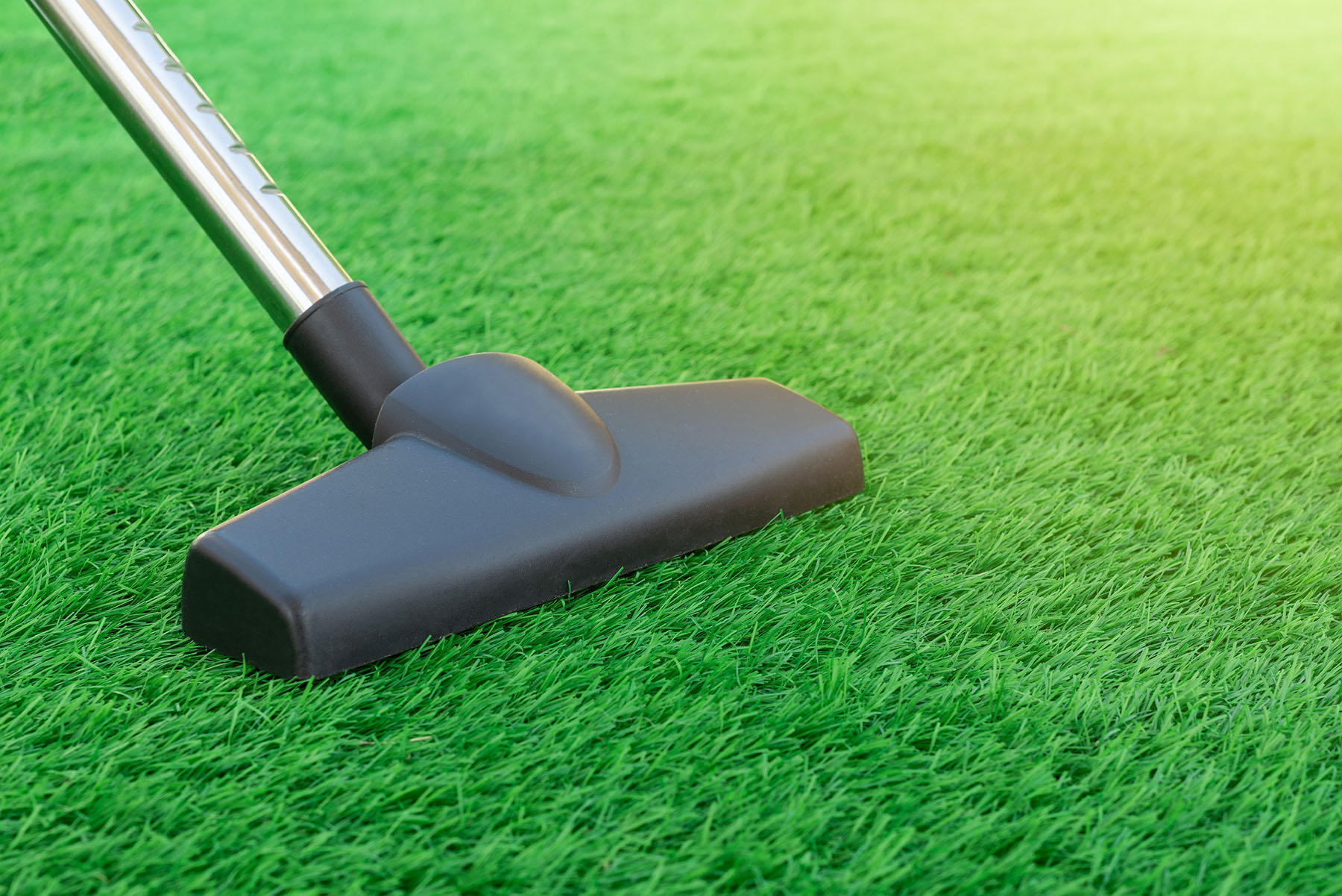 Professional Turf<br>Cleaning &&nbsp;Refresh